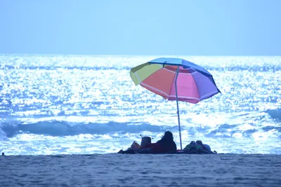 DSC_5008 (Large).JPG